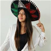 Especialista en la enseñanza de Español y Cultura Mexicana,